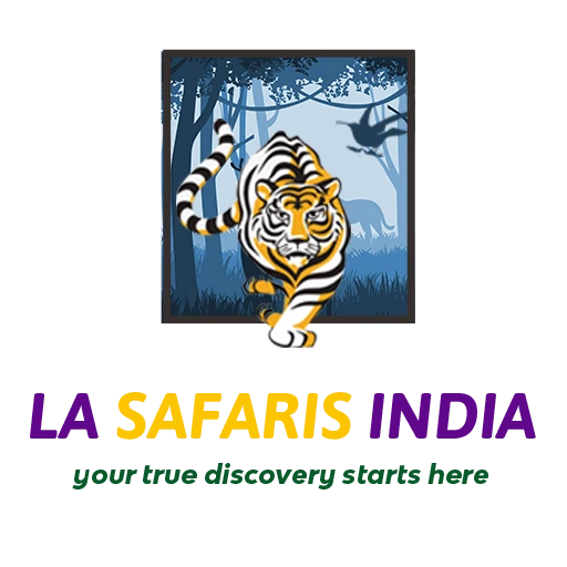 SPLENDID ESCAPE TRIPS PRIVATE LIMITED logo — destination management company in New Delhi, India
