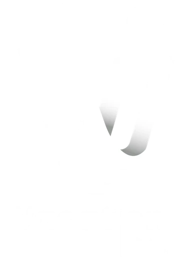 Vacation Vibes (pvt) Ltd logo — destination management company in Colombo, Sri Lanka