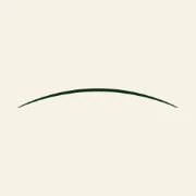 DMC Madeira logo — destination management company in Funchal, Portugal
