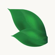 Travel the Guianas logo — destination management company in Paramaribo, Suriname