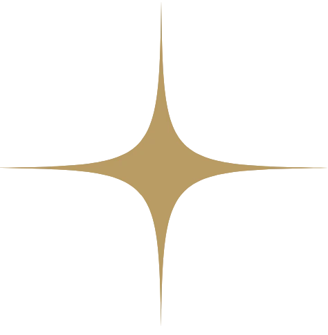 MY VILLA COLLECTION S.R.L. logo — destination management company in Chiaia, Italy