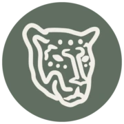 Pantera DMC logo — destination management company in Panamá, Panama