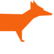 FOX DMC logo — destination management company in İstanbul, Turkey