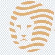 Anbessa Travel and MICE logo — destination management company in Addis Ababa, Ethiopia
