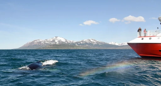 Iceland Travel logo — destination management company in Reykjavik, Iceland