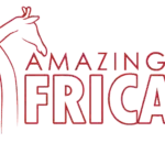 Amazing Africa DMC logo — destination management company in Centurion, South Africa