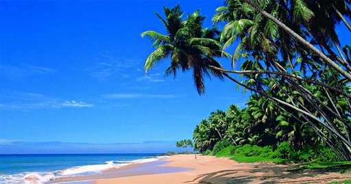 Jetwing Travels – Sri Lanka logo — destination management company in Colombo, Sri Lanka