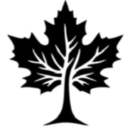 Axis Ventures logo — destination management company in Srinagar, India
