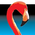 Advantage Destination & Meeting Services logo — destination management company in Miami, United States