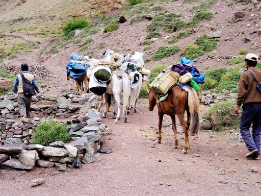 Hidden North Adventures logo — destination management company in Leh, India