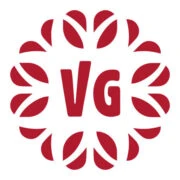 VisitGeorgia logo — destination management company in Tbilisi, Georgia