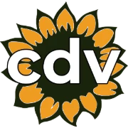 Culture Discovery Destinations logo — destination management company in Porto, Portugal