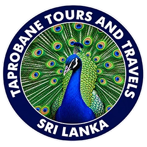 Taprobane Tours And Travels logo — destination management company in Negombo, Sri Lanka