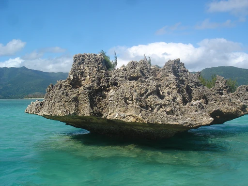 The Friendly Dodo logo — destination management company in Port Louis, Mauritius