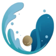Black Pearl Tours logo — destination management company in Tissamaharama, Sri Lanka