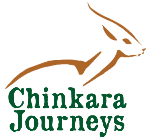 Chinkara Journeys logo — destination management company in Raipur, India