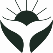 Protrip DMC logo — destination management company in Santiago, Chile