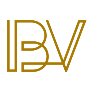 Balticvision Riga Ltd. logo — destination management company in Riga, Latvia