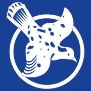 Blue Bird Travels logo — destination management company in Kochi, India