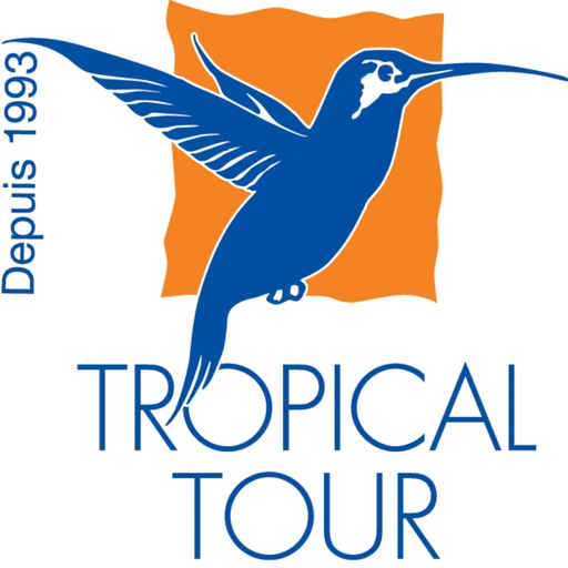 TROPICAL TOURS logo — destination management company in Les Abymes, Guadeloupe