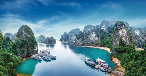 Terraverde Travel & Events logo — destination management company in Ho Chi Minh City, Viet Nam