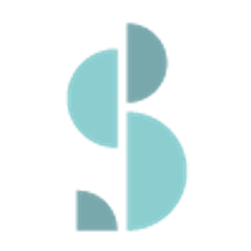 Blue Safari Seychelles logo — destination management company in Victoria, Seychelles