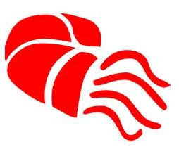 Andaman World Travels Pvt Ltd logo — destination management company in Port Blair, India