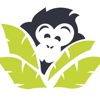 VISIT SIERRA LEONE (VSL TRAVEL) logo — destination management company in Freetown, Sierra Leone
