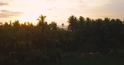 Lankan Detours logo — destination management company in Wattala, Sri Lanka