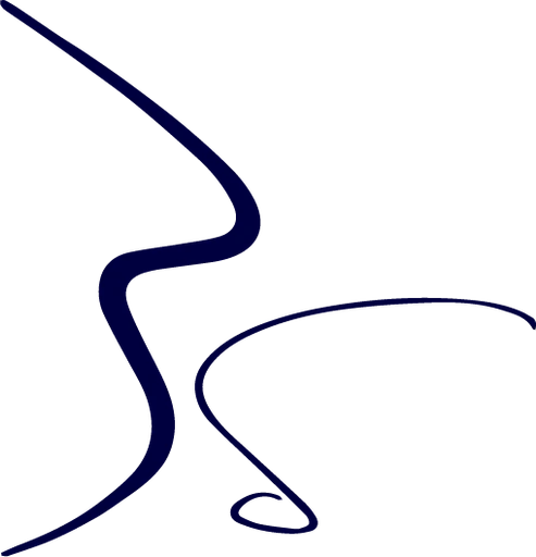 BRAZIL SENSATIONS logo — destination management company in Rio de Janeiro, Brazil