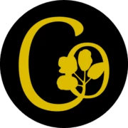 MACONDO DMC S A S logo — destination management company in Bogota, Colombia