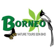 Borneo Nature Tours logo — destination management company in Kota Kinabalu, Malaysia