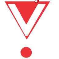 Vector Travel DMC logo — destination management company in Tbilisi, Georgia